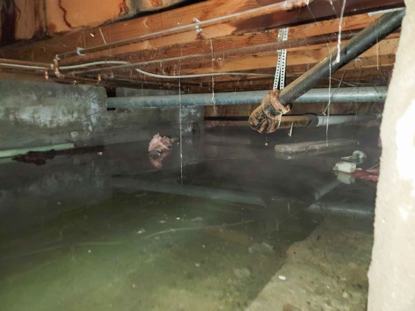 Cost of Crawlspace Drainage in Puyallup